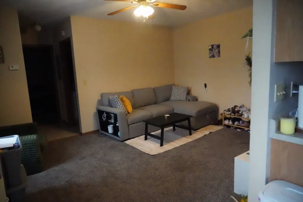 Picture 11