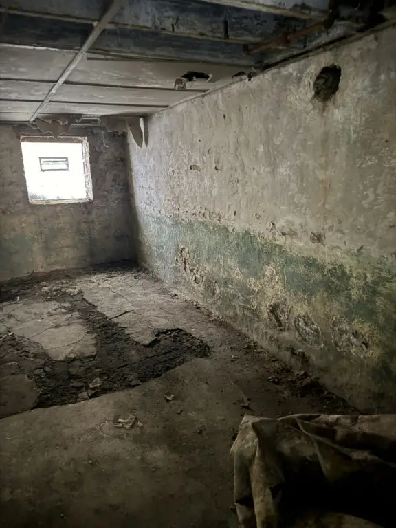 Picture 62