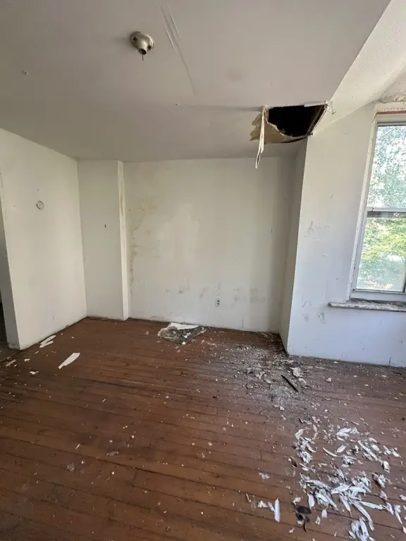 Picture 23