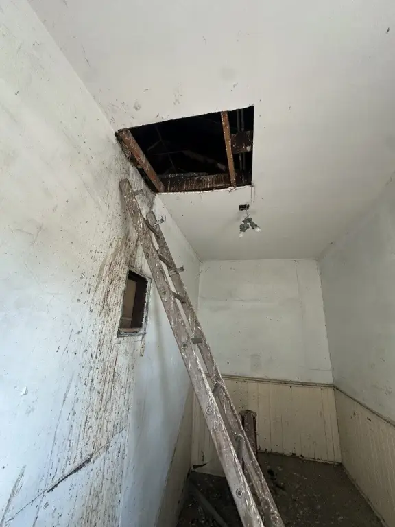Picture 45