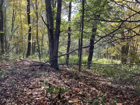 29 Acres in Gated Community