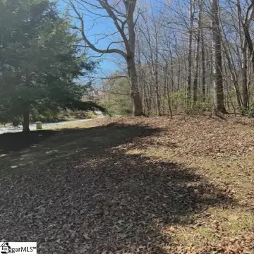 Residential Lot in Cliffs Valley