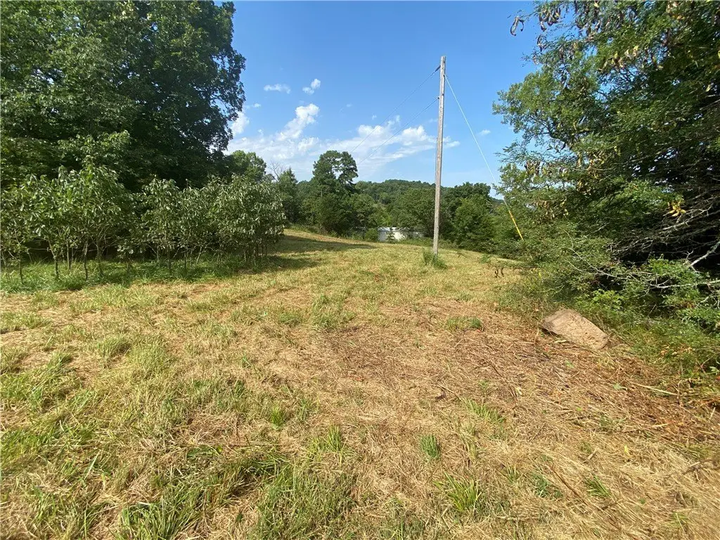Picture 22