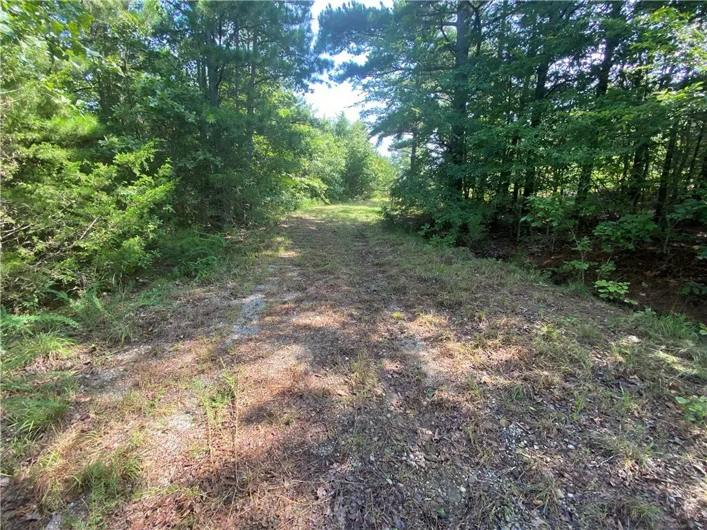 Picture 27