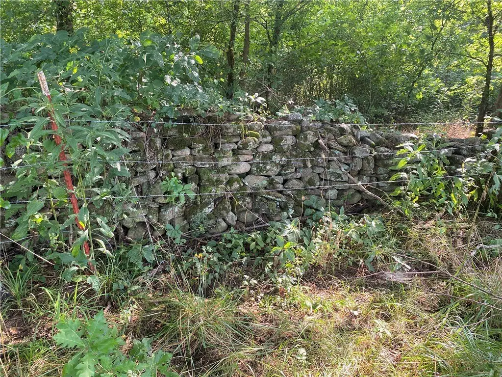 Picture 37