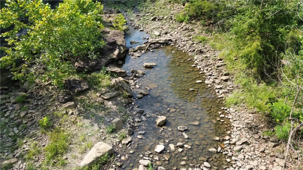 Picture 17