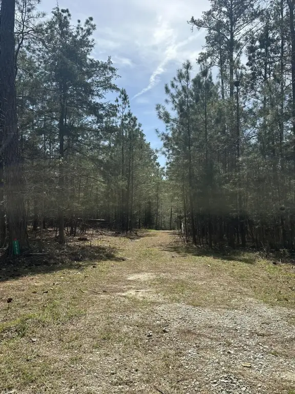 Picture 4