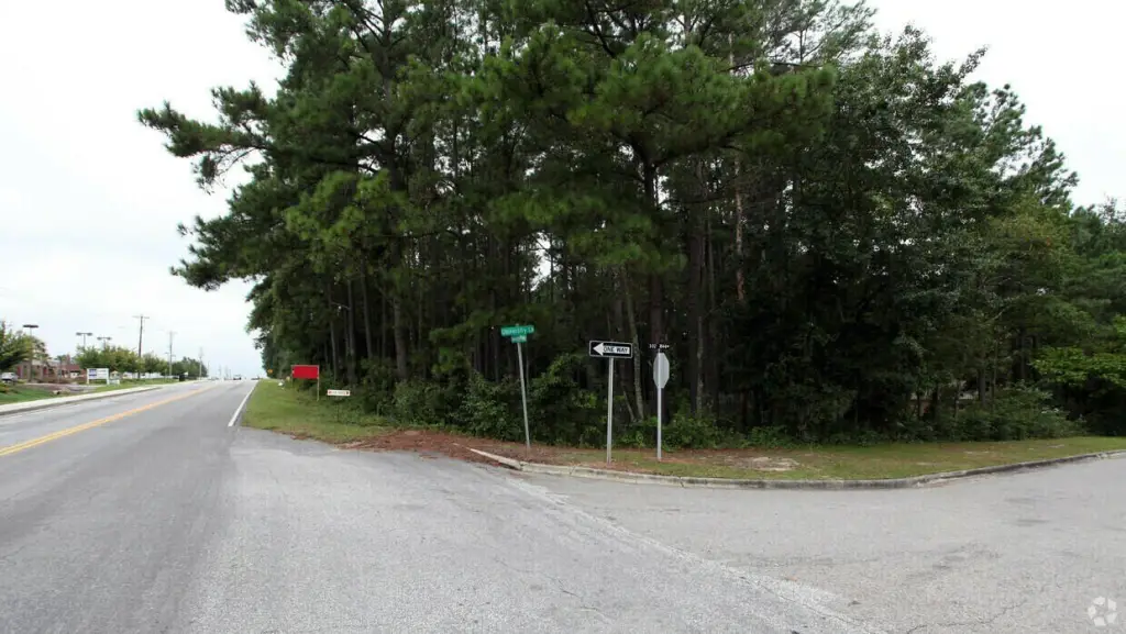 Picture 3