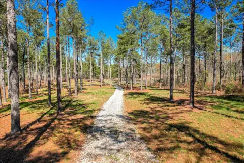 24 Acres Building Lot
