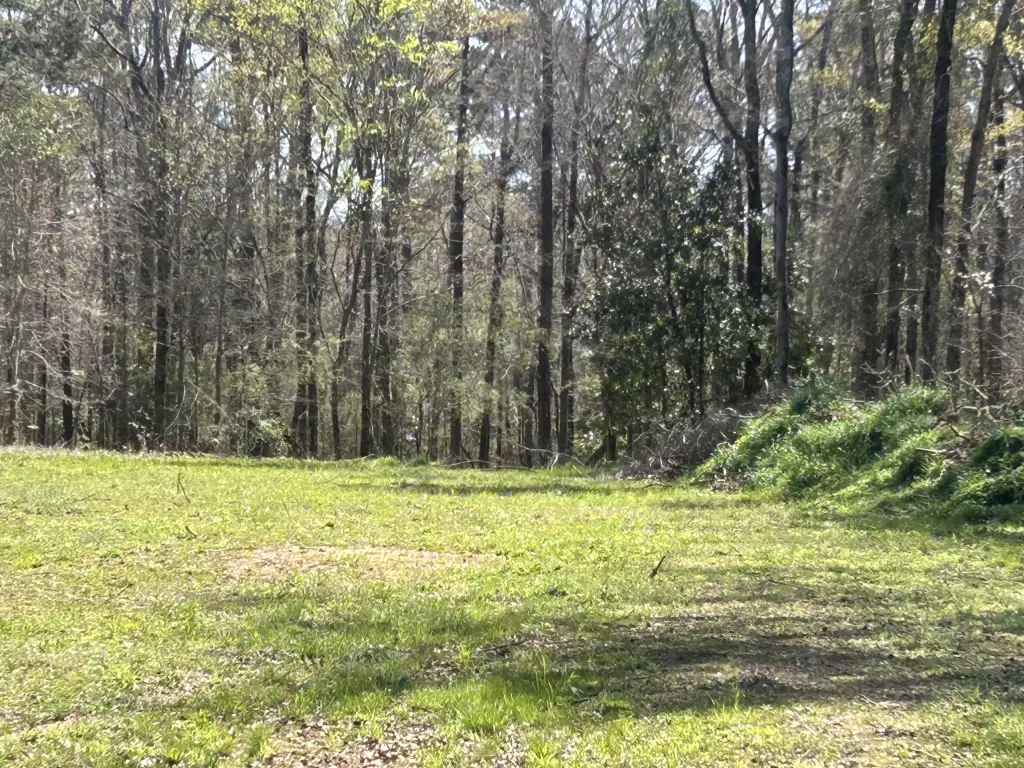 Picture 4