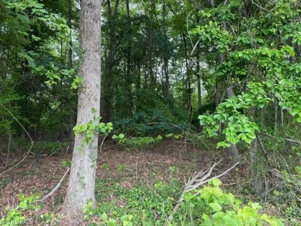 Picture 8