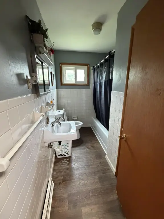 Picture 38