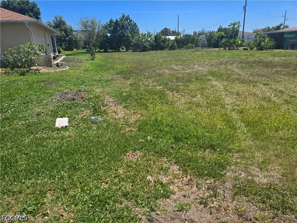 Picture 6