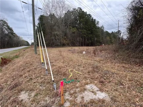 Parkton, NC Wooded Land