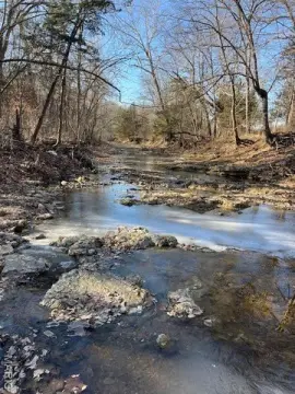 96 Acres with Earth Home