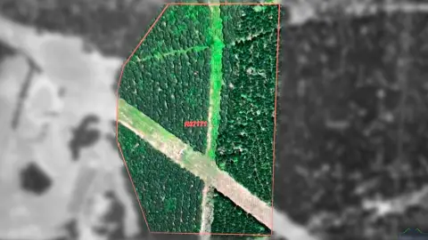 Harleton Timberland Investment Opportunity