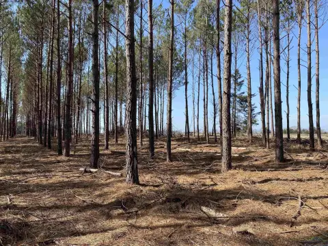 47.86 Acres in Hughes Springs