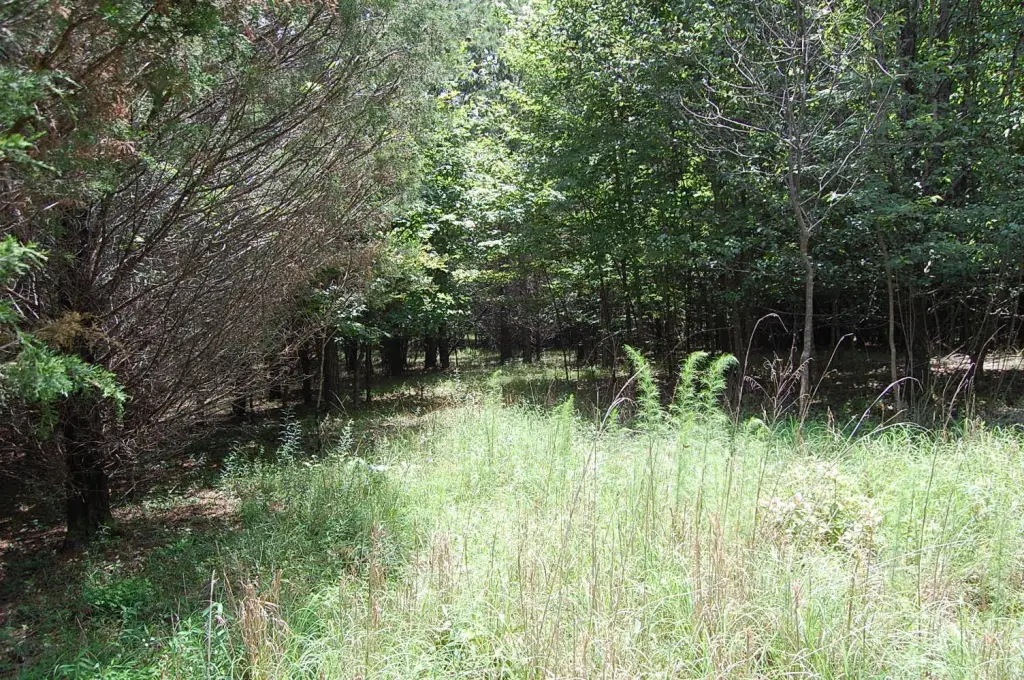 Picture 16