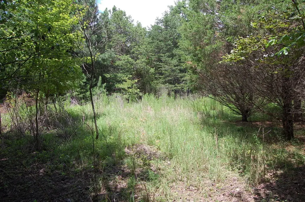 Picture 17