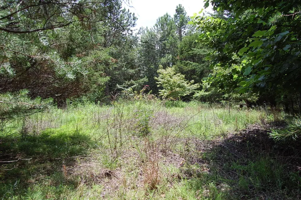 Picture 21