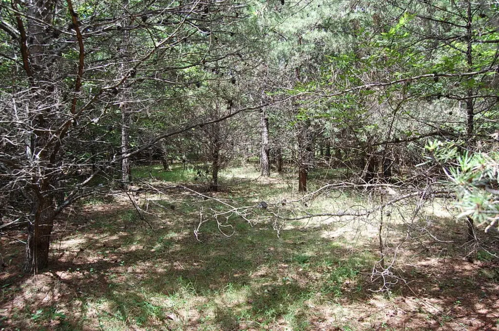 Picture 23