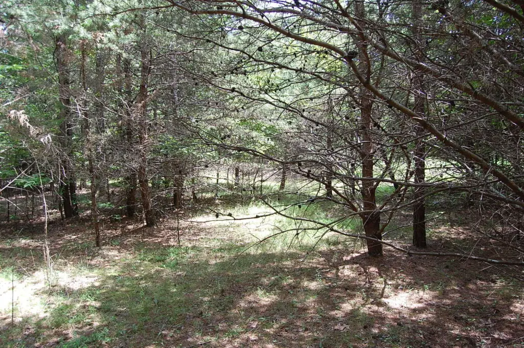 Picture 20