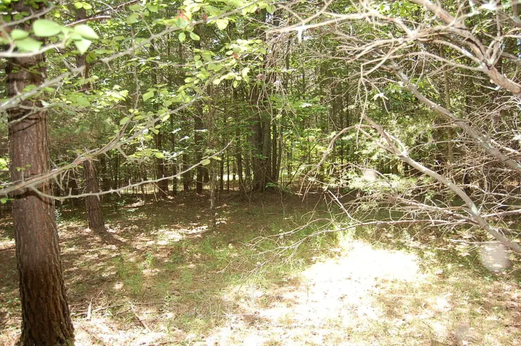 Picture 19