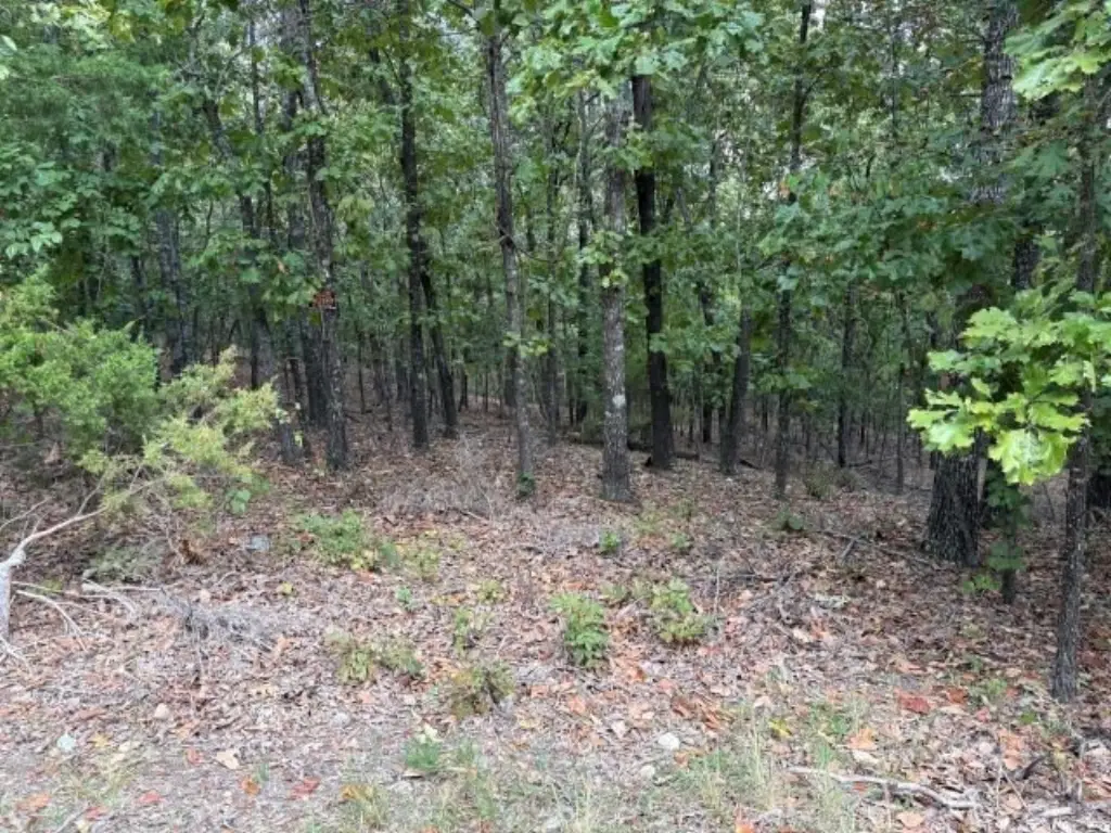 Picture 4