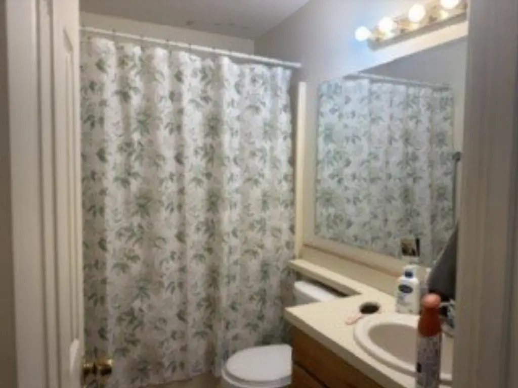 Picture 4