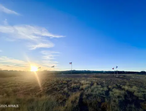 Commercial Land in Concho, AZ