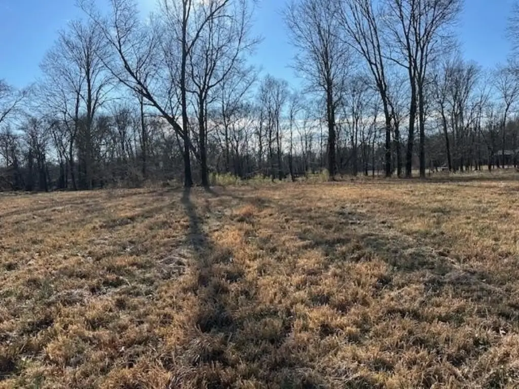Picture 5