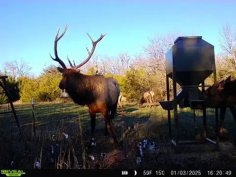 Oklahoma Hunting Land with Cabin