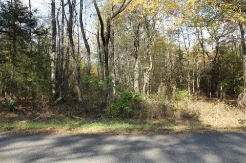 25 Acres of Land in Homer