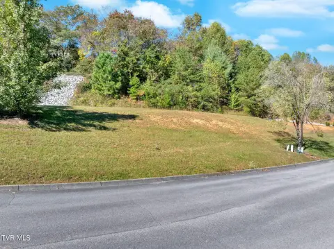 Residential Land in Kingsport, TN