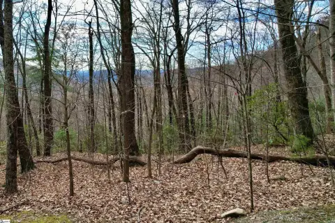 Residential Lot in Gated Community