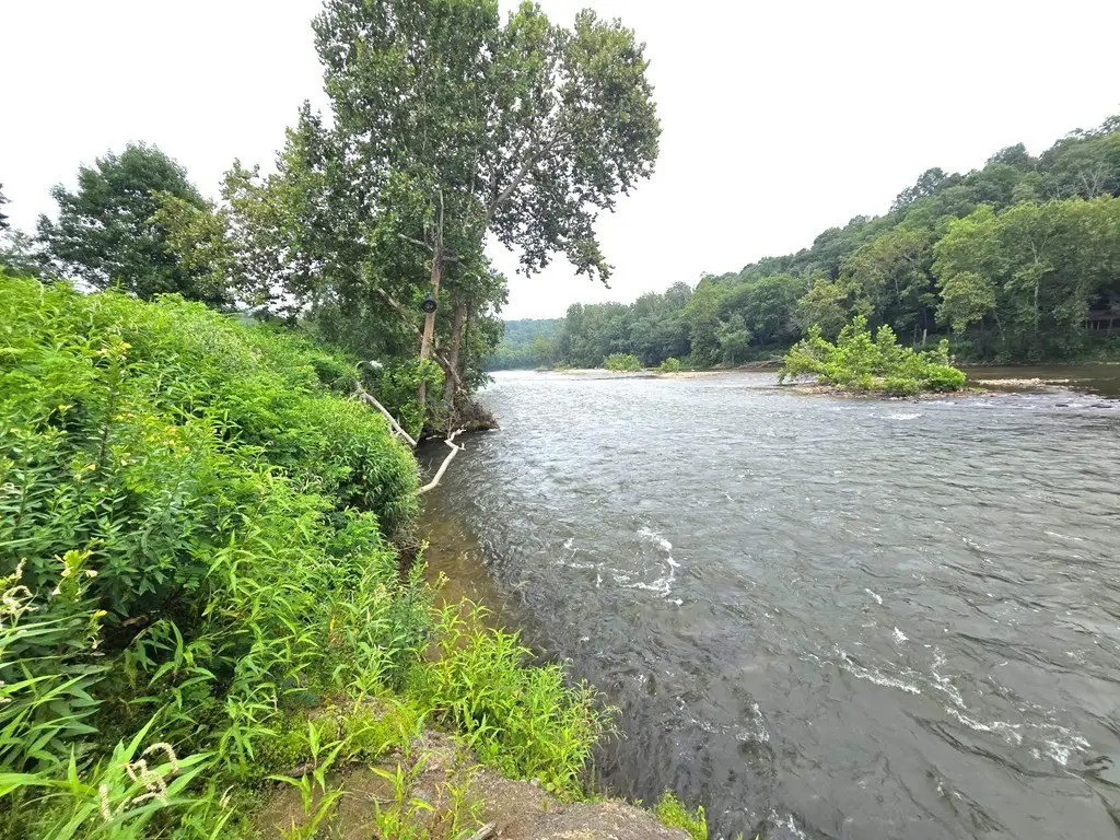 Picture 4