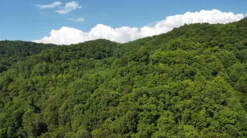 Rural Mountain Land