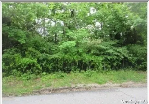 Residential Land in Patchogue