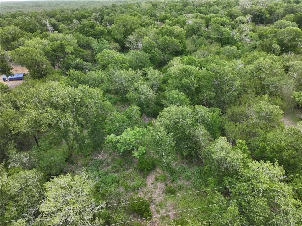 Picture 8