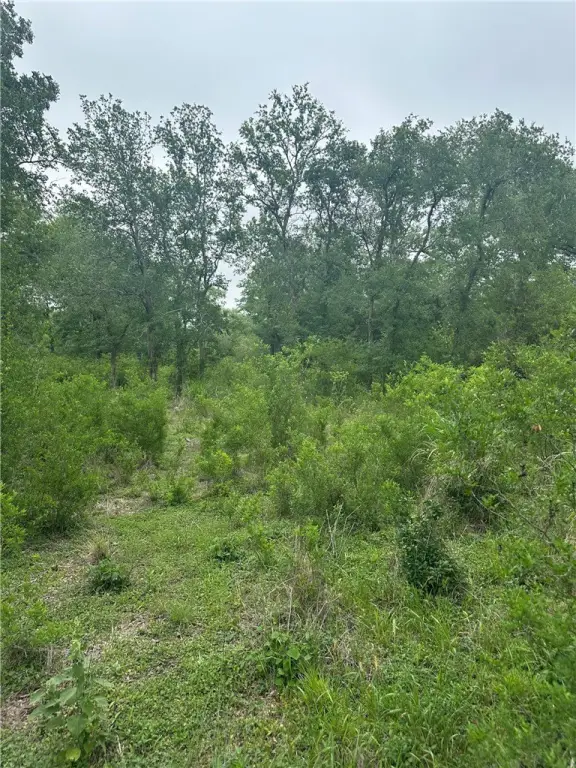 Picture 28