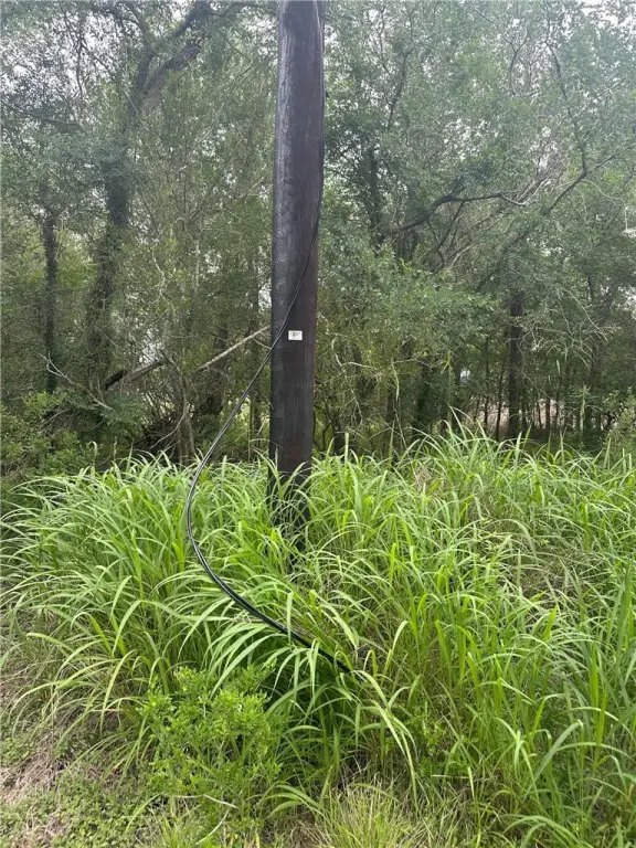 Picture 27