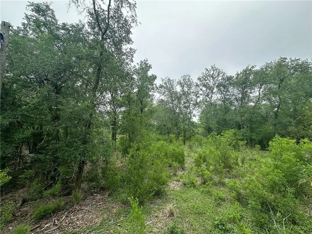 Picture 30