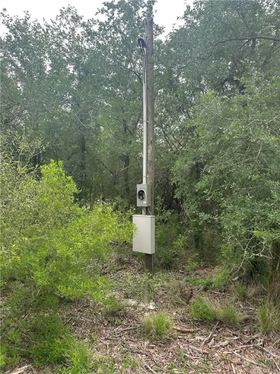 Picture 25