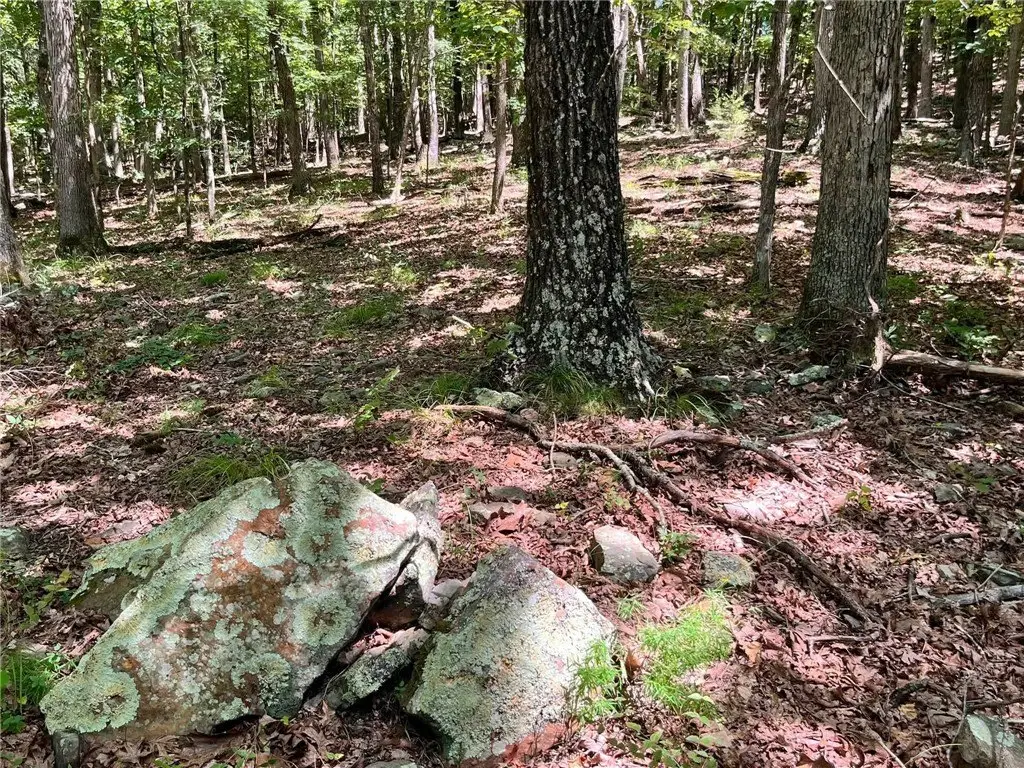 Picture 29