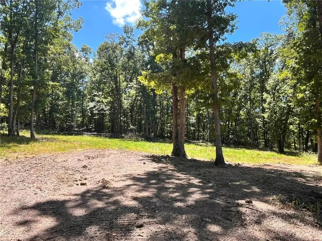 Picture 19