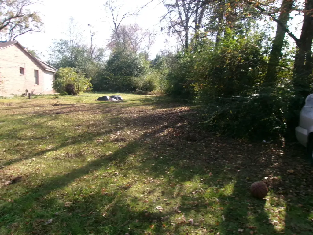 Picture 5