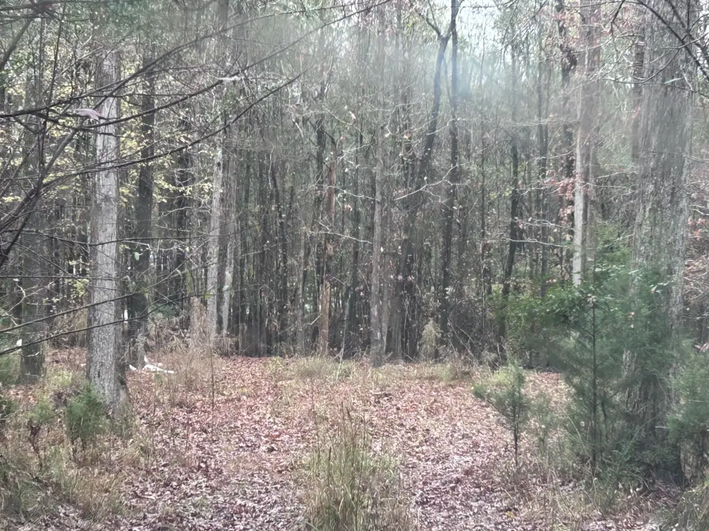 Picture 4