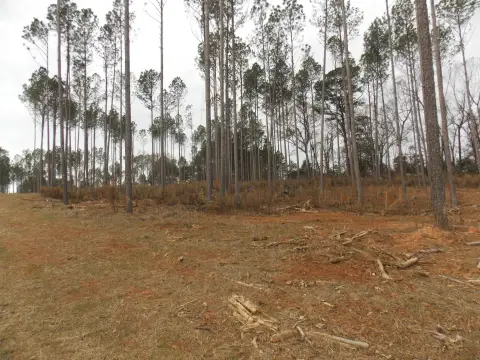 Land Near Lake Thurmond