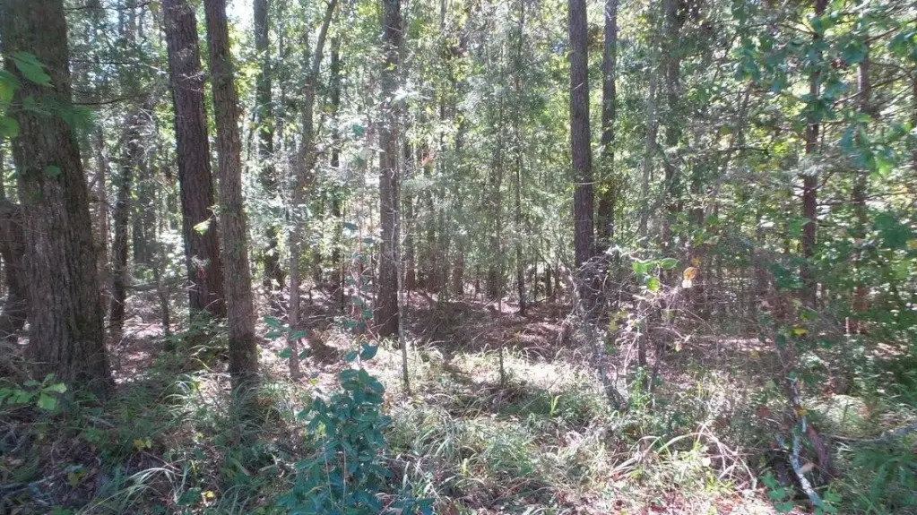 Picture 9
