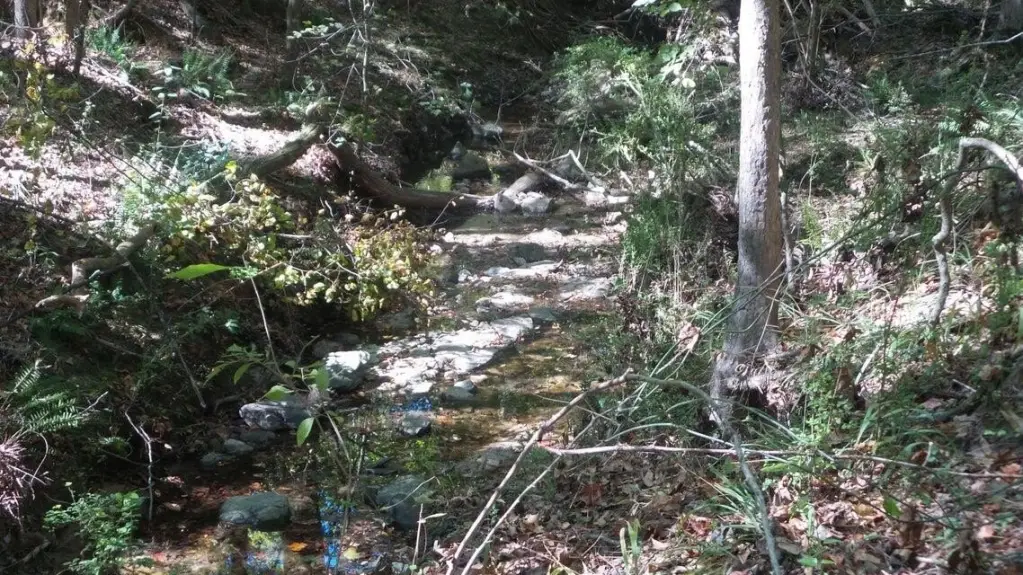 Picture 6